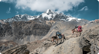 Premium Half Day Dubai City Tour - Private-2