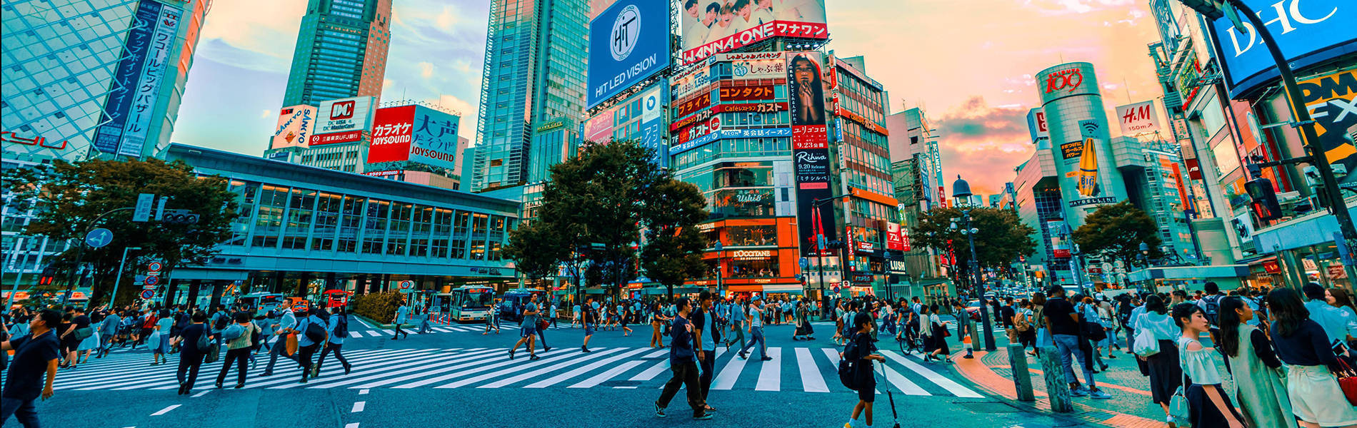 Skydive Dubai - Tandem Skydiving in Dubai